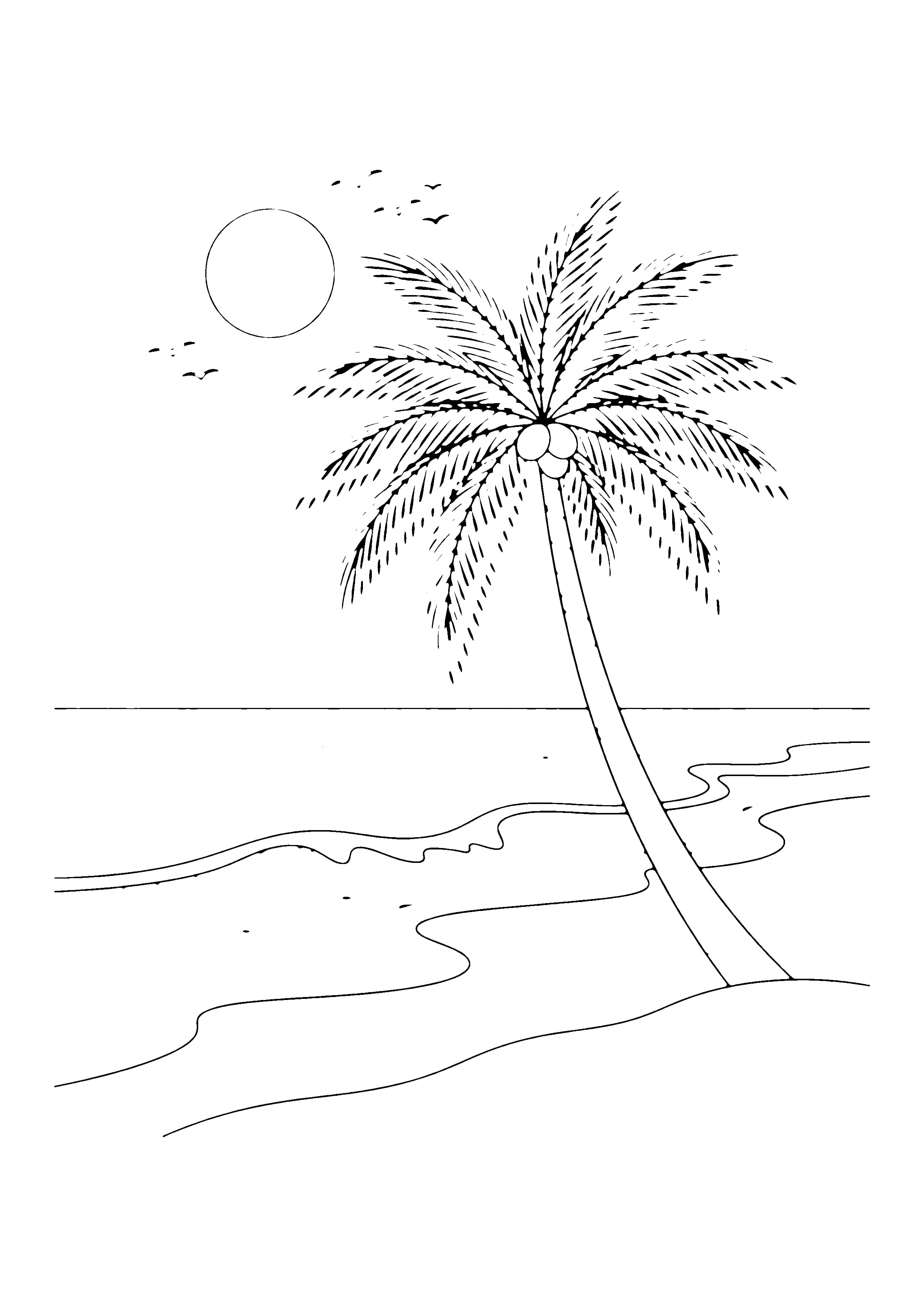 Printable hand-drawn Palm Tree by the Sea coloring page