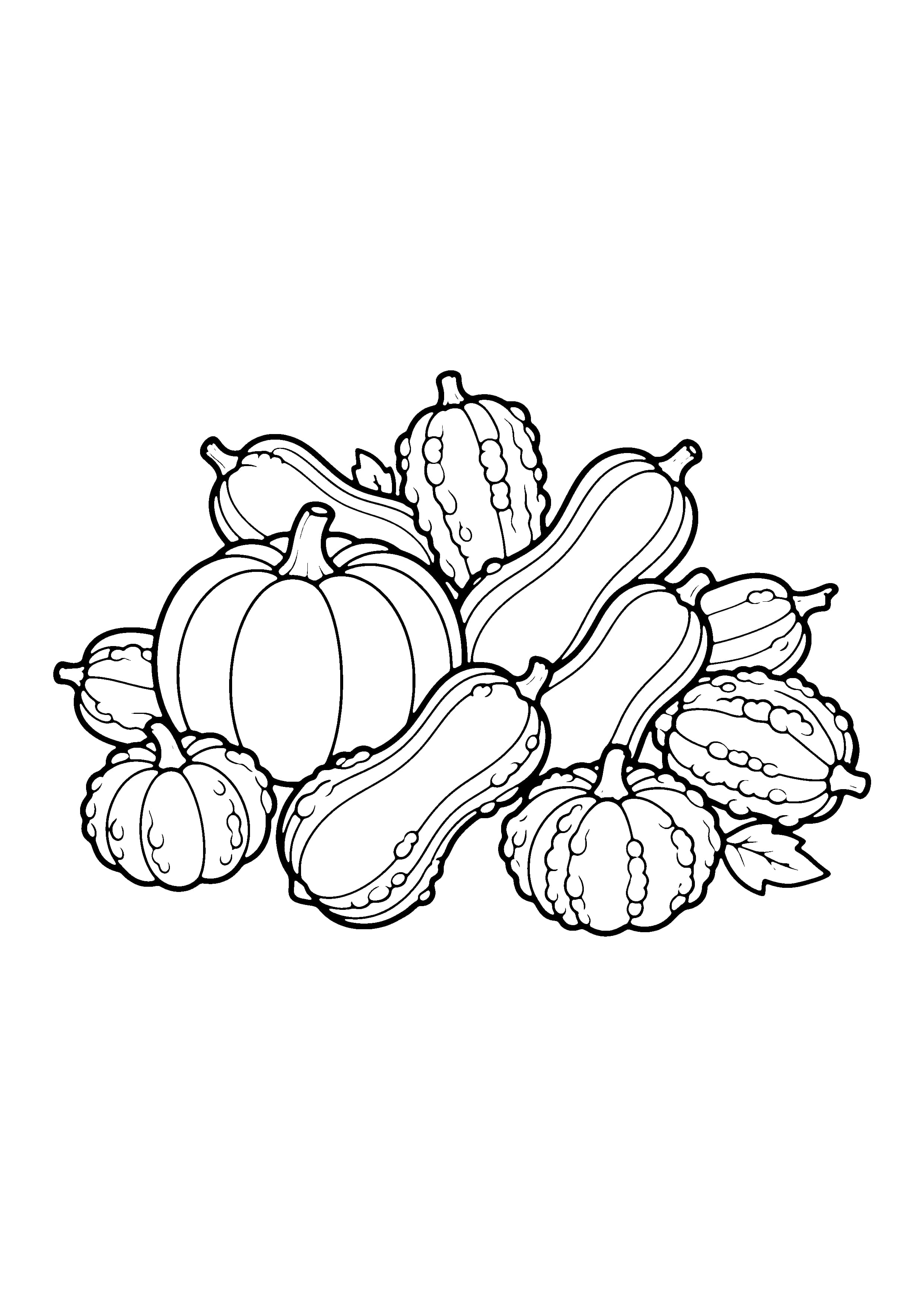 Printable hand-drawn Pumpkin and Friends Gourds coloring page