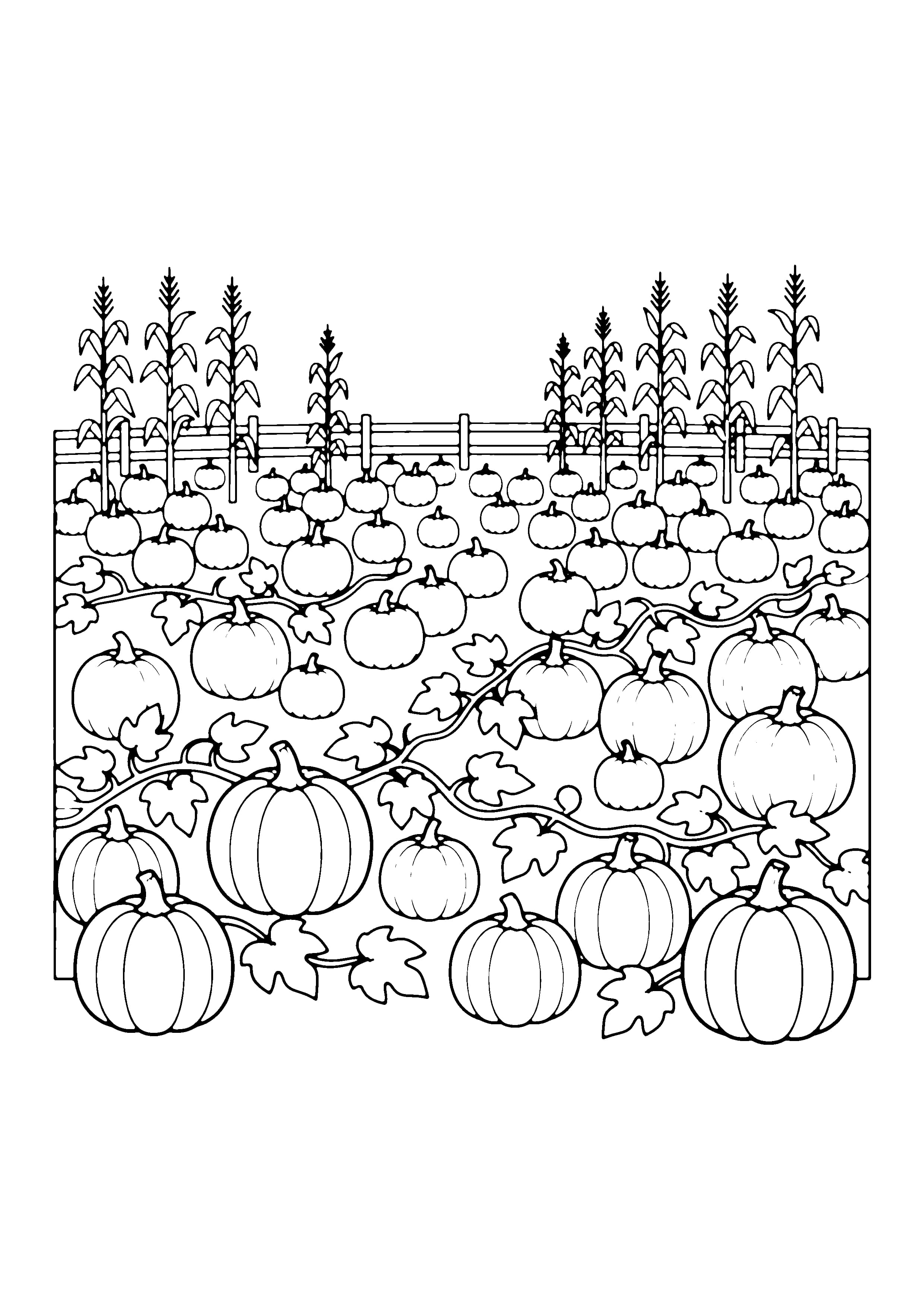 Printable hand-drawn Pumpkin Patch coloring page