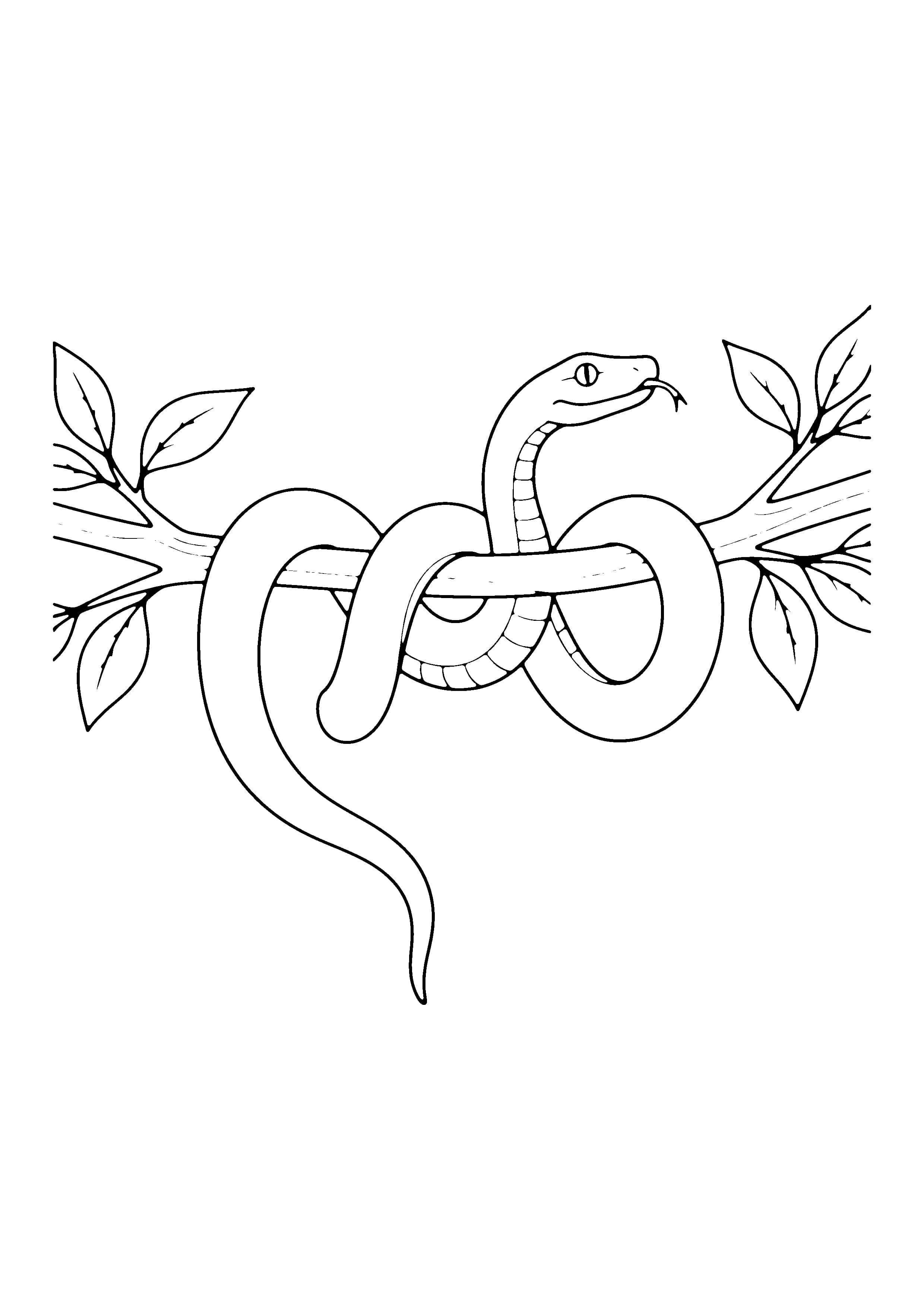 Printable hand-drawn Snake in a Tree coloring page