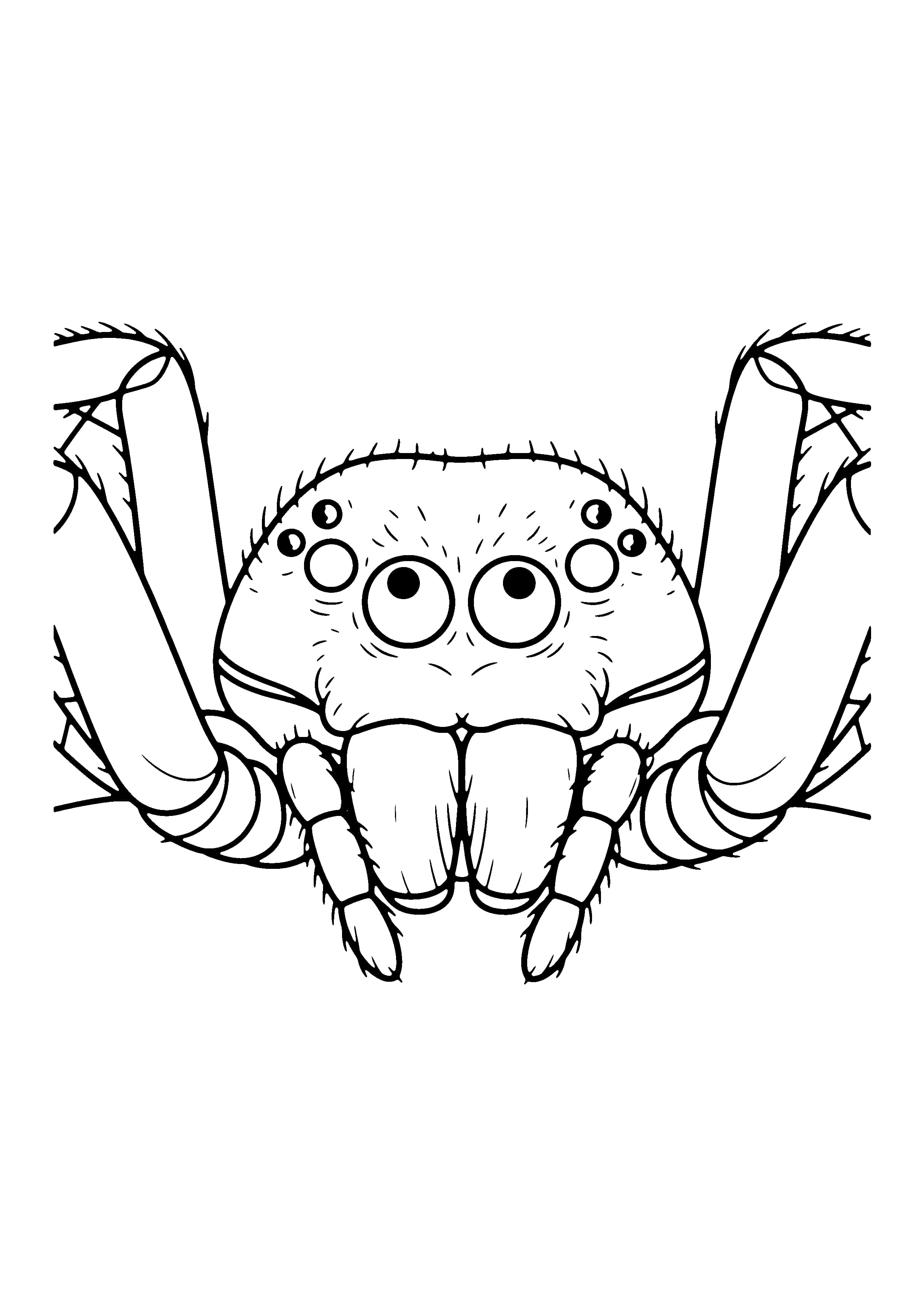 Printable hand-drawn Spider Face Close-Up coloring page