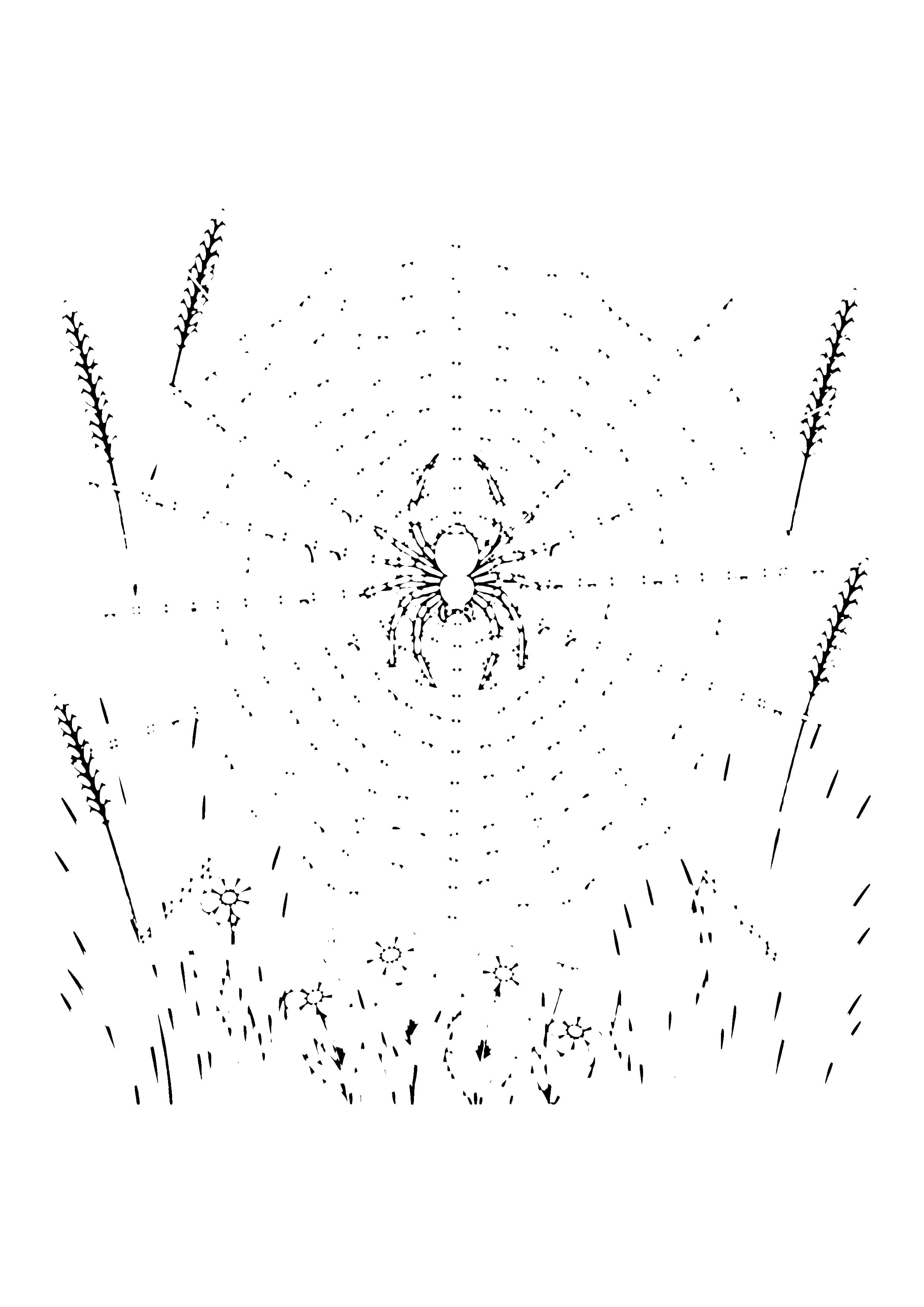 Printable hand-drawn Spider with Dewy Web coloring page