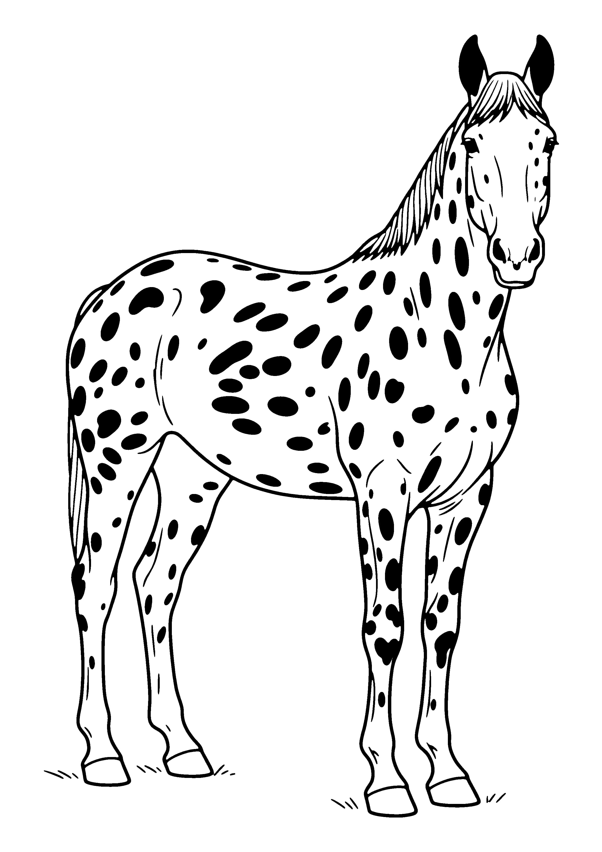Printable hand-drawn Spotted Appaloosa coloring page