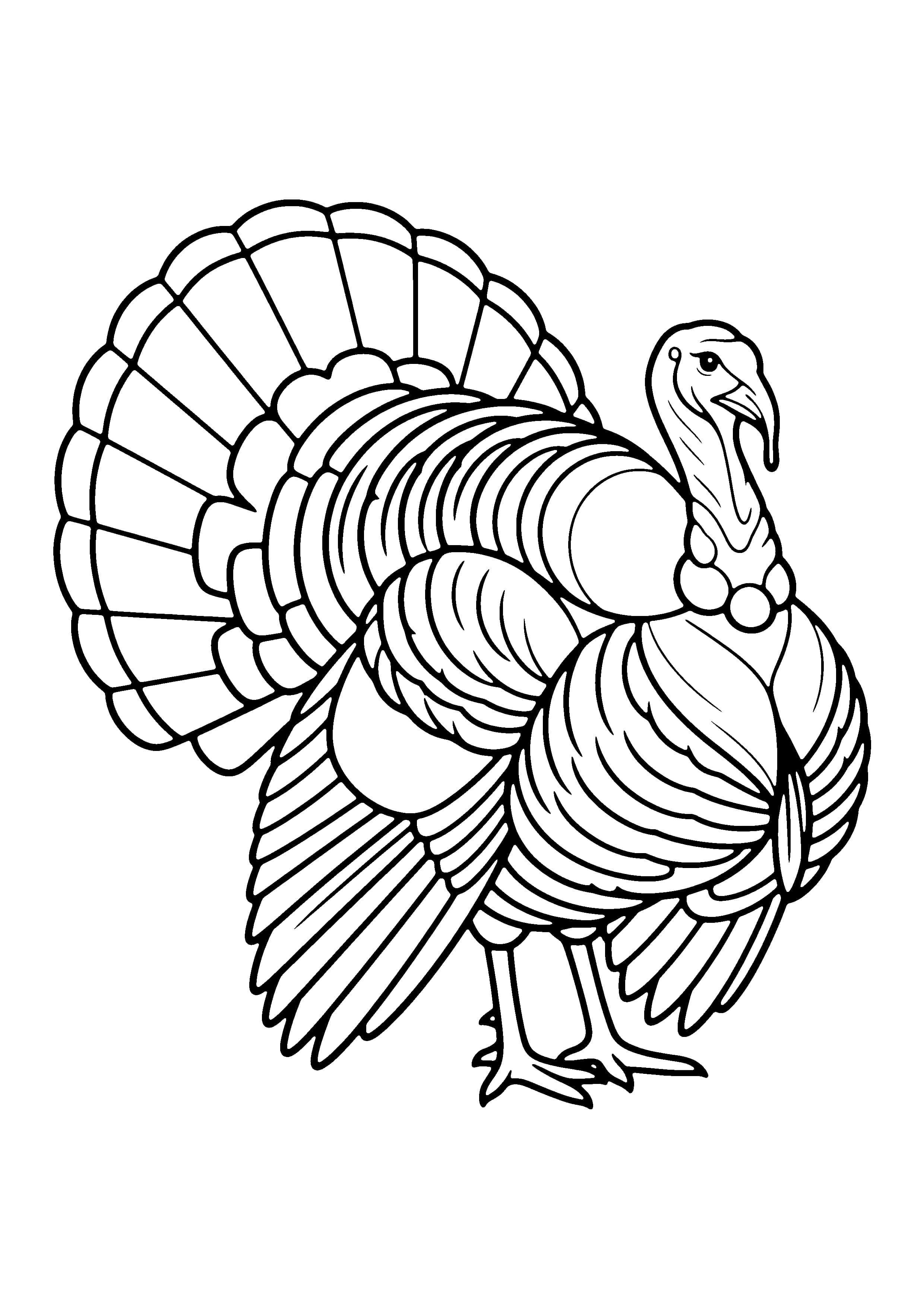 Printable hand-drawn Strutting Turkey coloring page