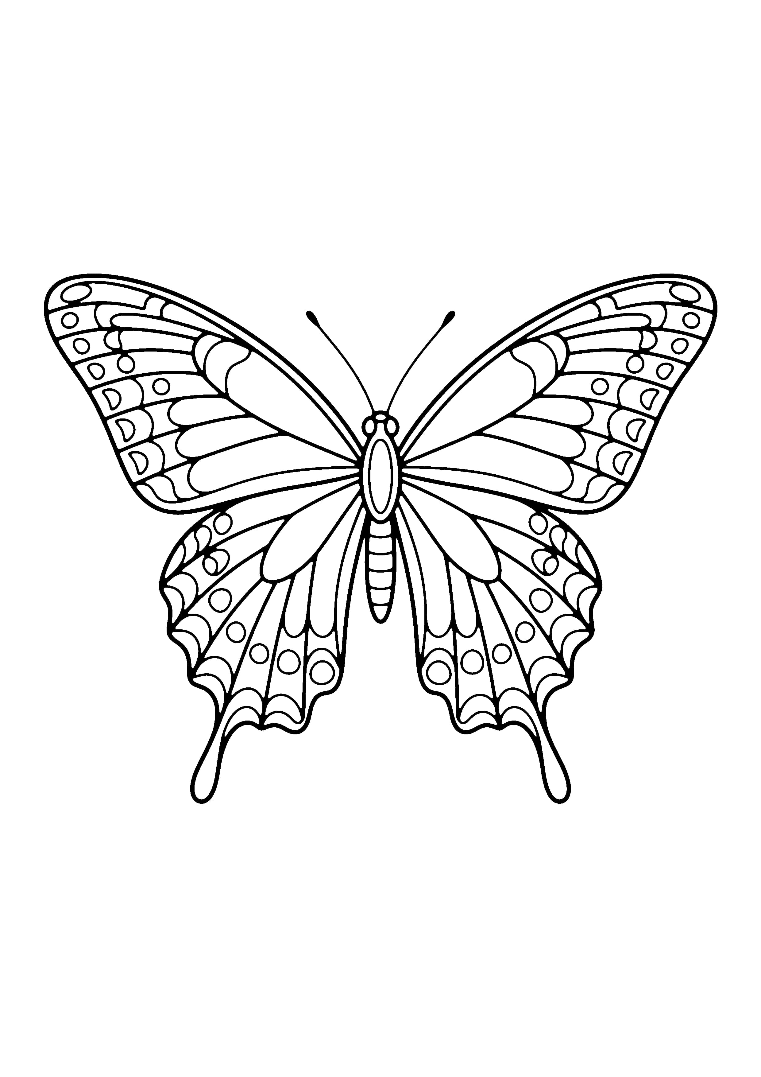 Printable hand-drawn Swallowtail Butterfly coloring page