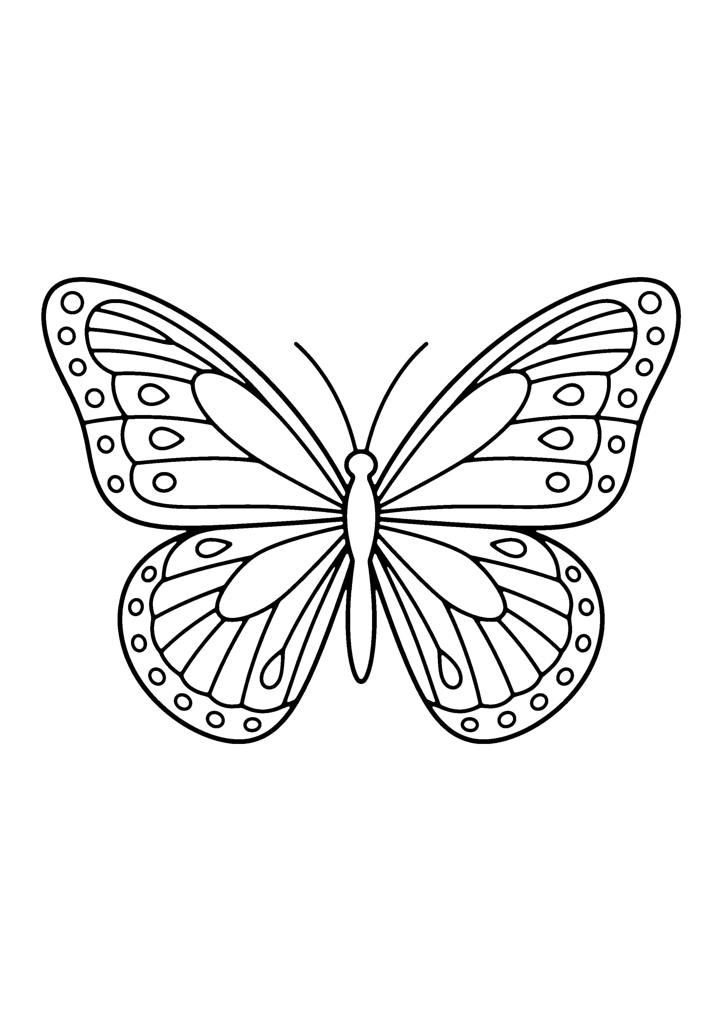 Printable hand-drawn Symmetrical Wing Pattern coloring page
