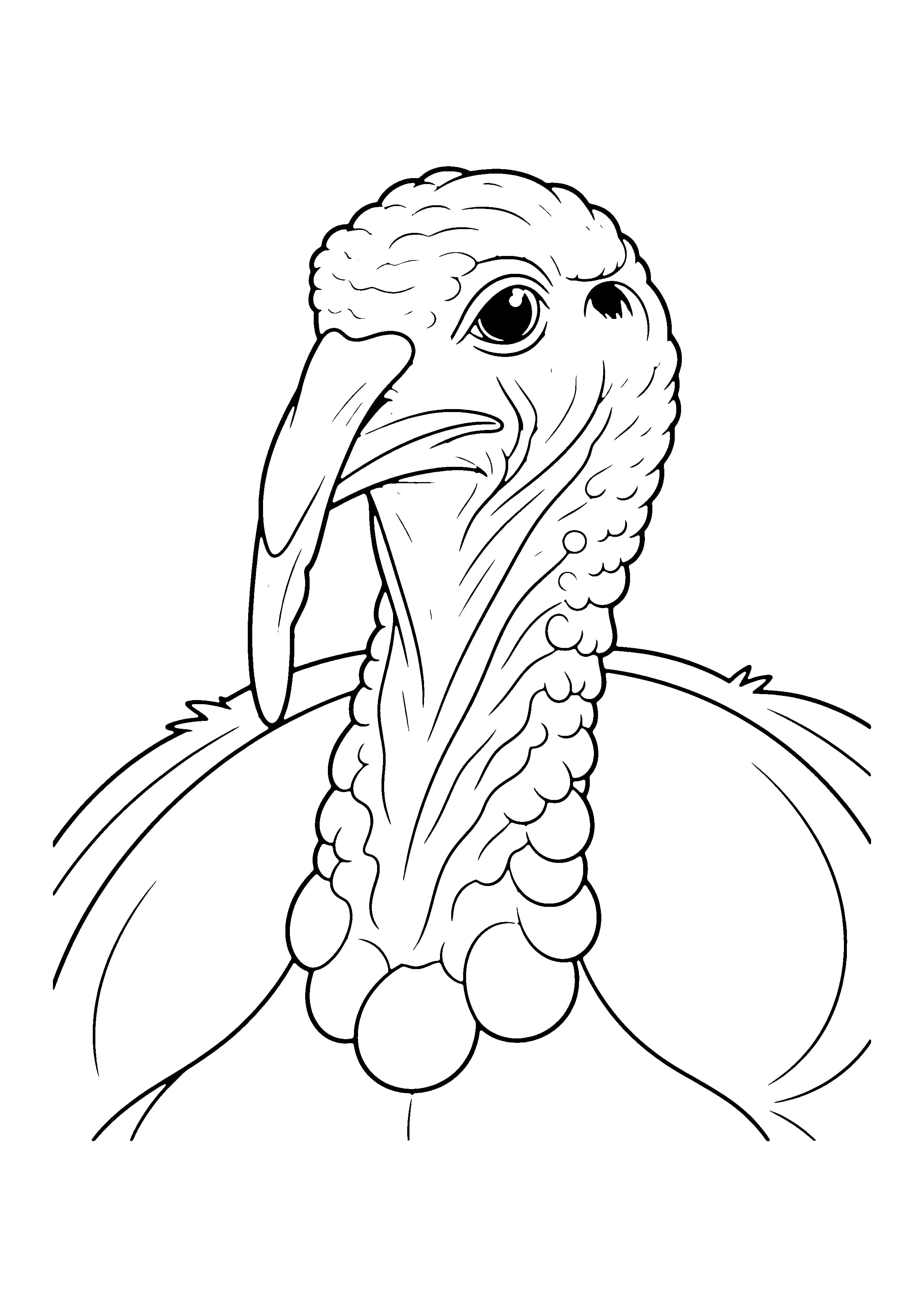 Printable hand-drawn Turkey Close-Up Portrait coloring page