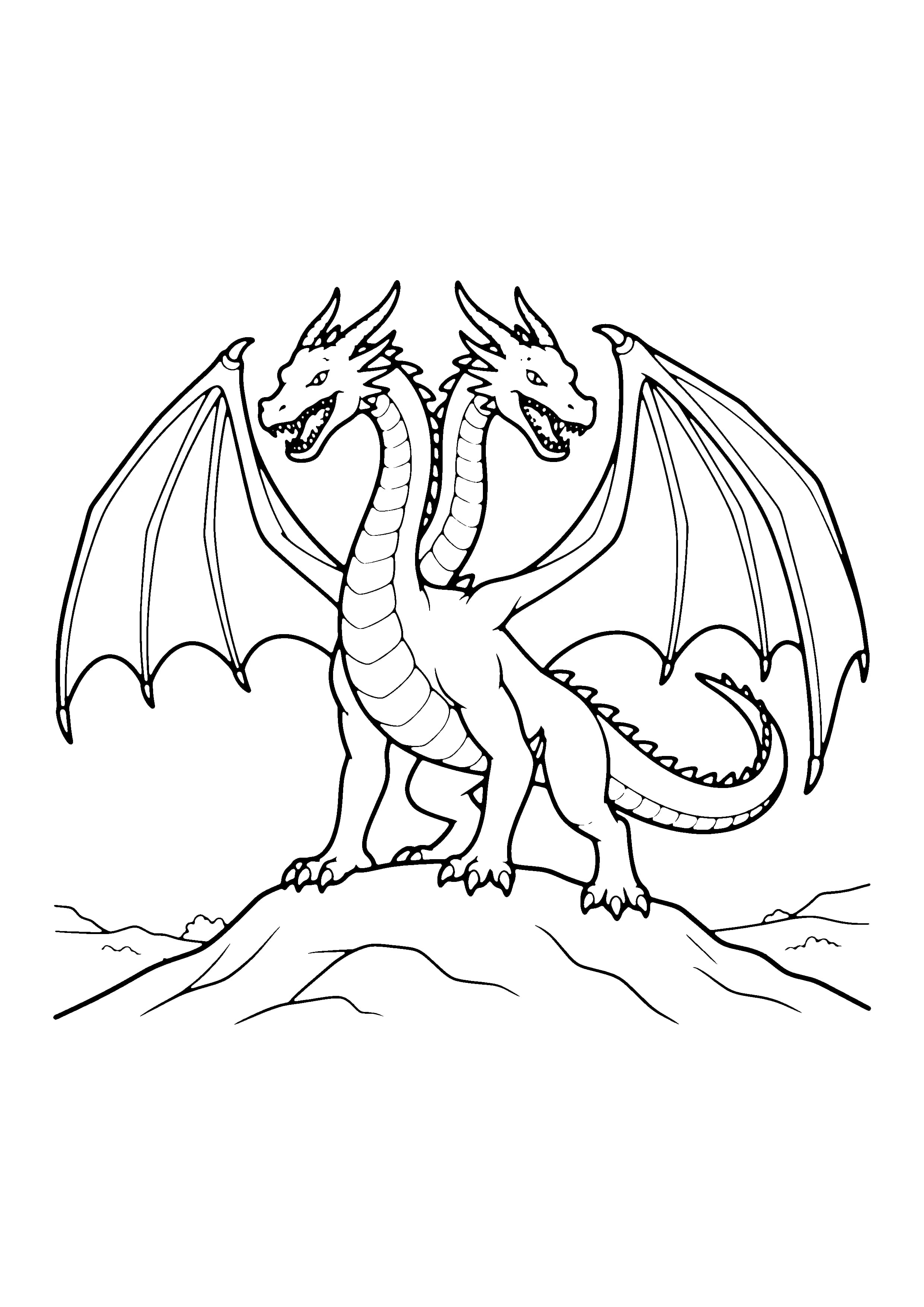 Printable hand-drawn Two-Headed Dragon coloring page