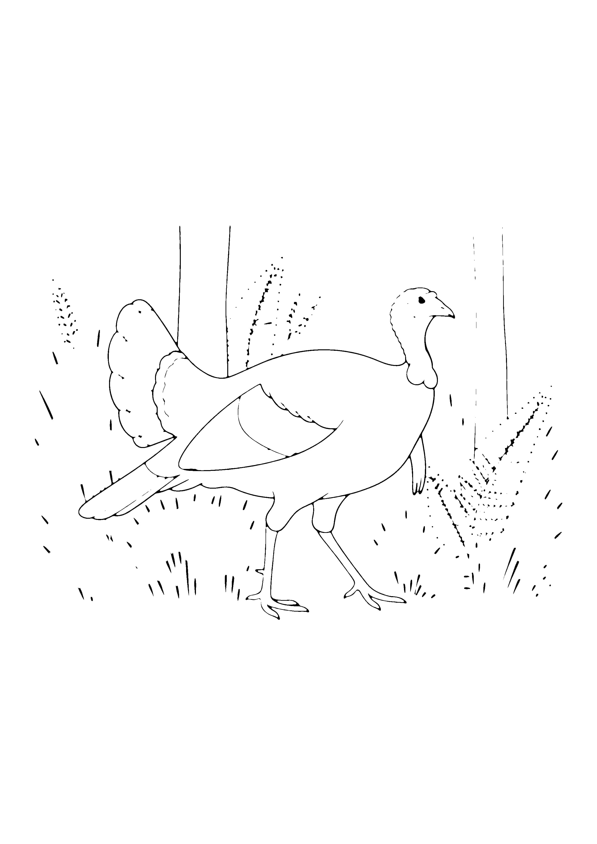 Printable hand-drawn Wild Turkey in the Woods coloring page
