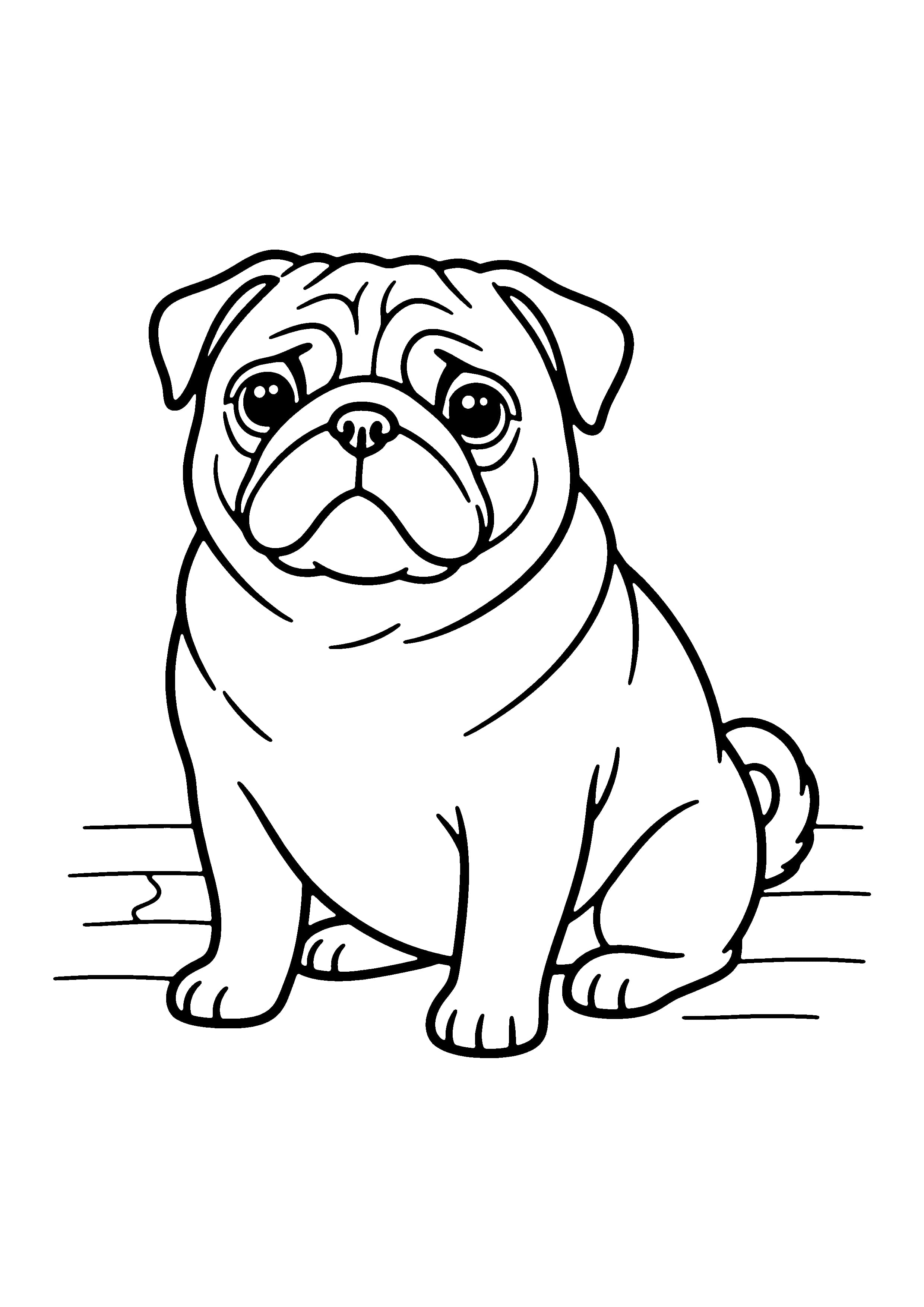 Printable hand-drawn Wrinkly Pug coloring page