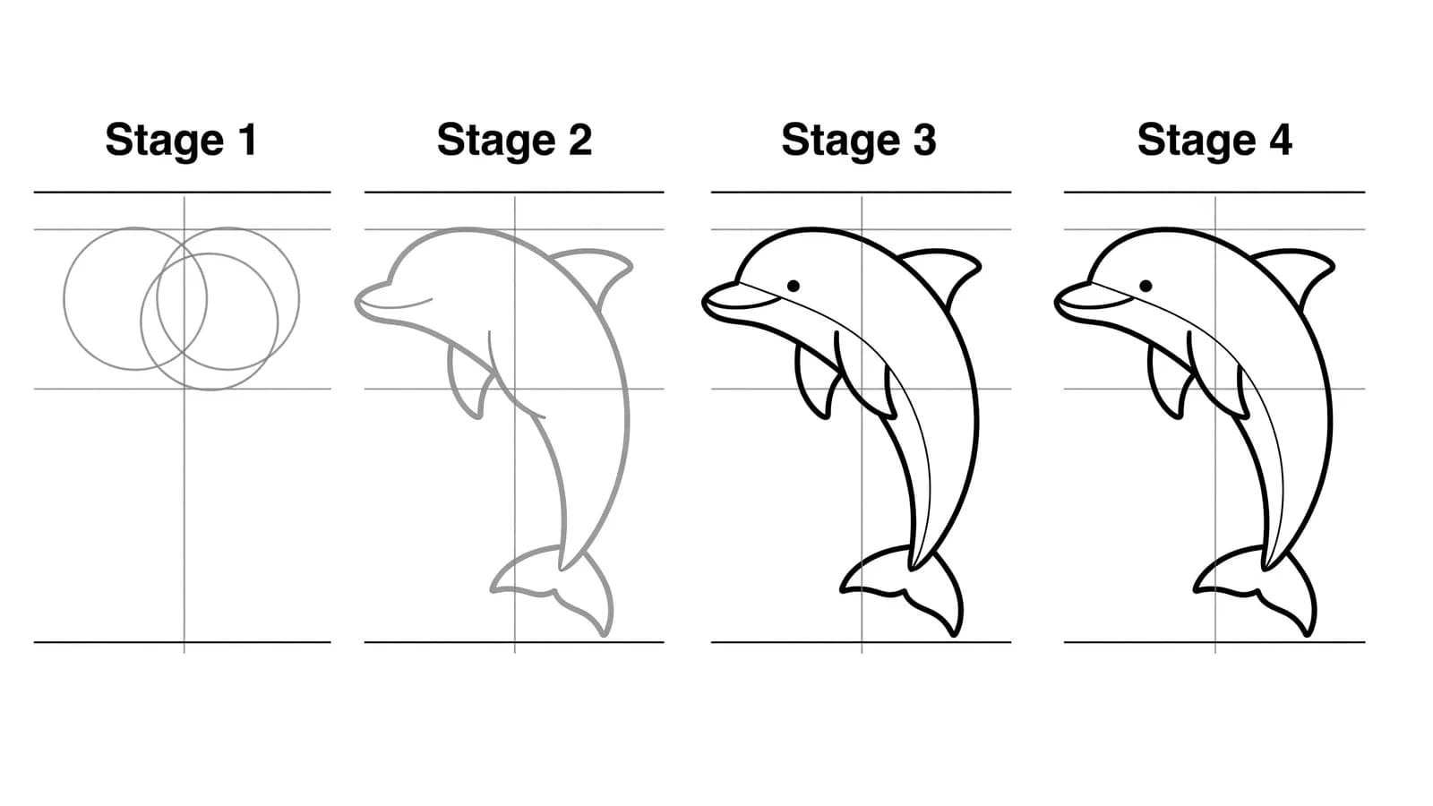 Step-by-step: how to draw a dolphin in four stages