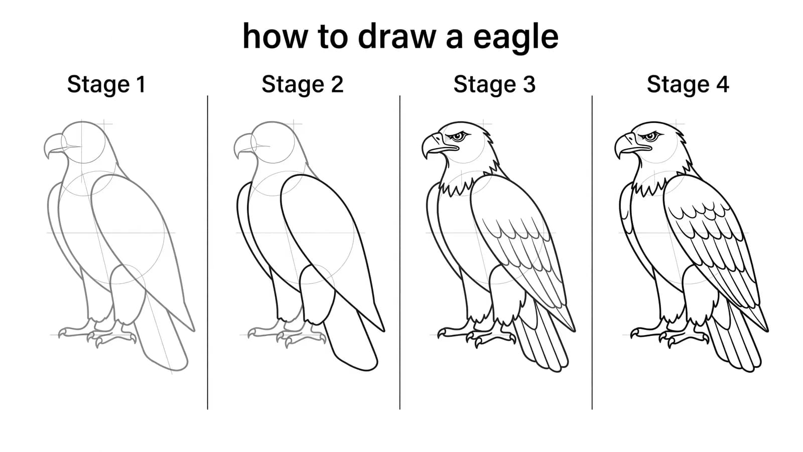 Step-by-step: how to draw an eagle in four stages
