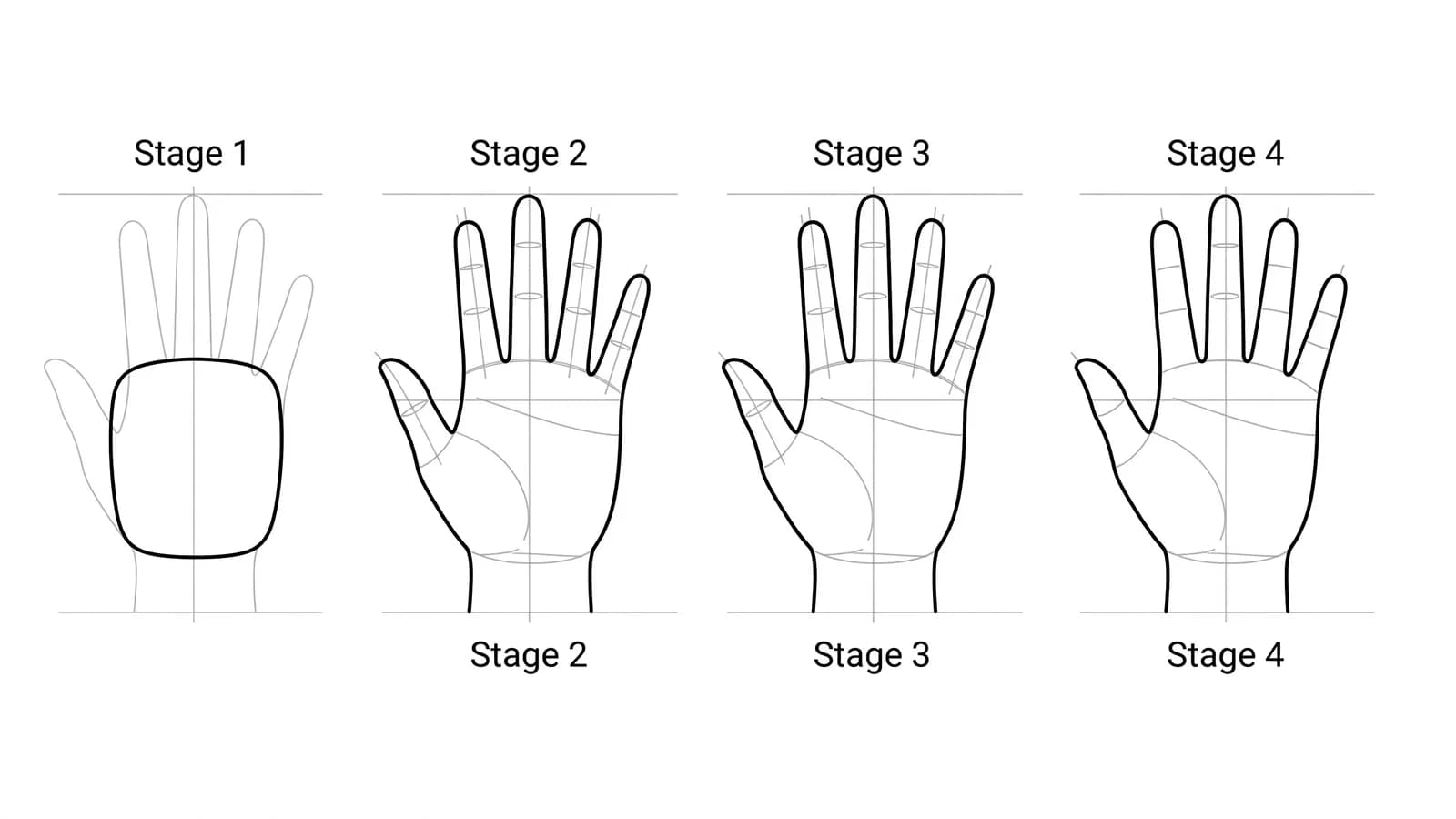 Step-by-step: how to draw a hand in four stages