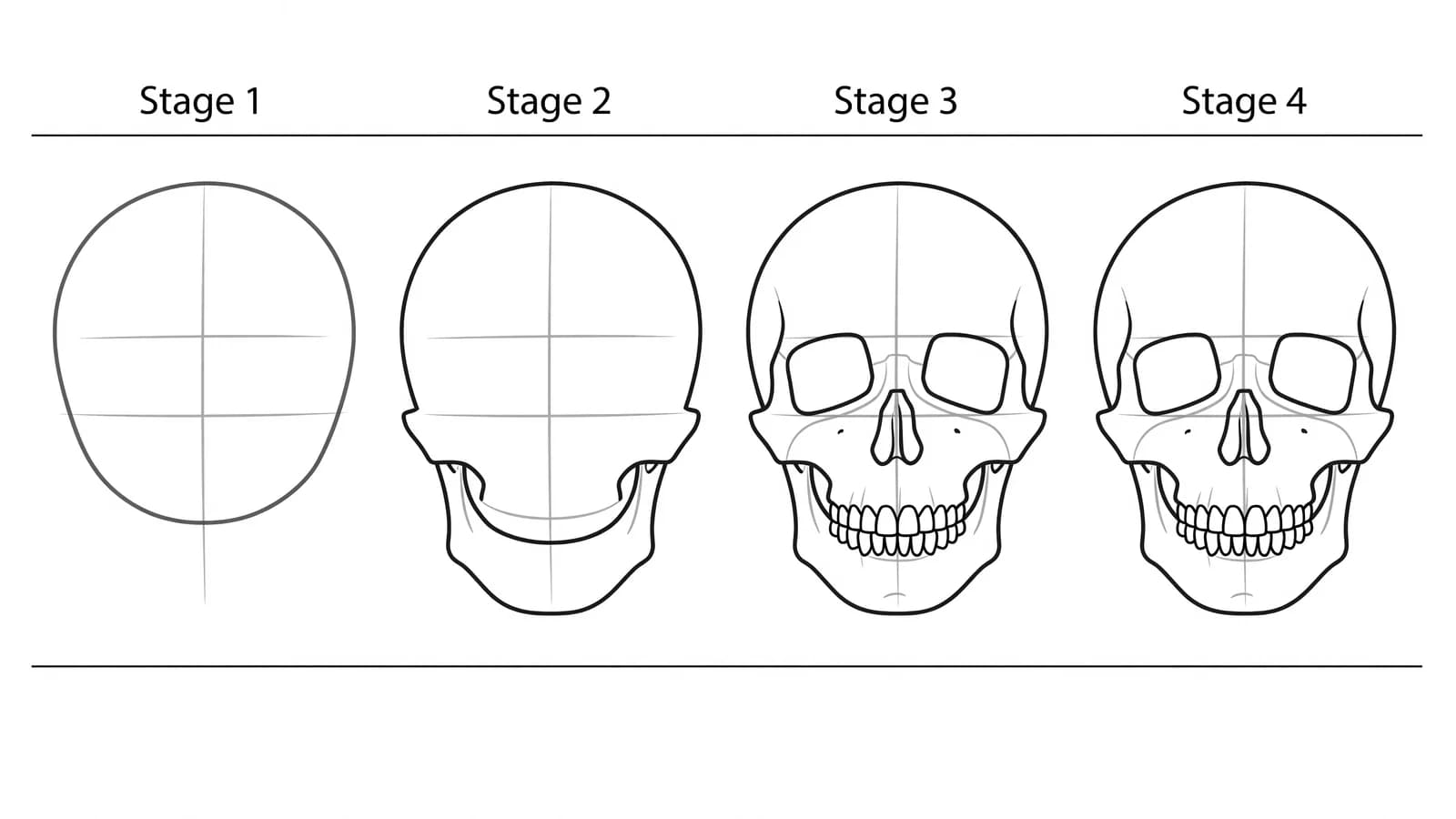 Step-by-step: how to draw a skull in four stages